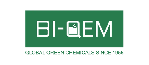 BI-QEM