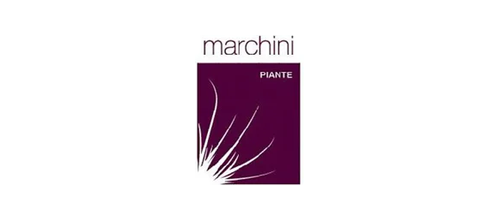 Marchini